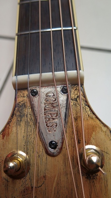 guitar detail